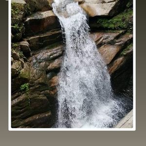 Meet your Posher, Joyce woerthwein